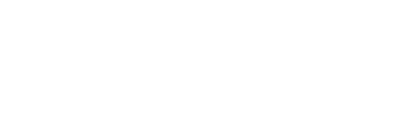 new directors/new films